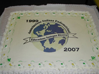Picture of AIE cake