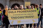 endometriosis-march-Sweden-gulepromenaden
